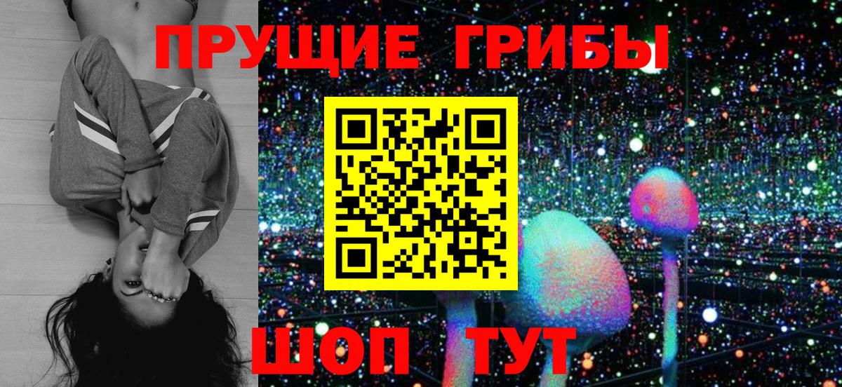 Галлюциногенные грибы GOLDEN TEACHER  Вход с VPN  Усолье-Сибирское 