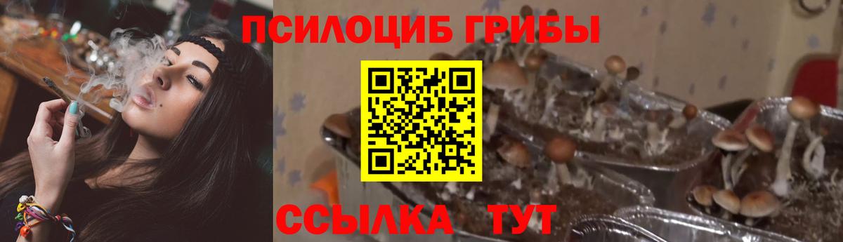 Псилоцибиновые грибы MAGIC MUSHROOMS Усолье-Сибирское